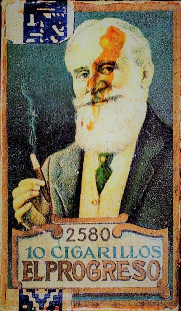 Zwanepol.J - Kampen ELPROGRESO 10/f0.25 nr 2580 M Zwanepol.J - Kampen ELPROGRESO 10/f0.25 nr 2580 M