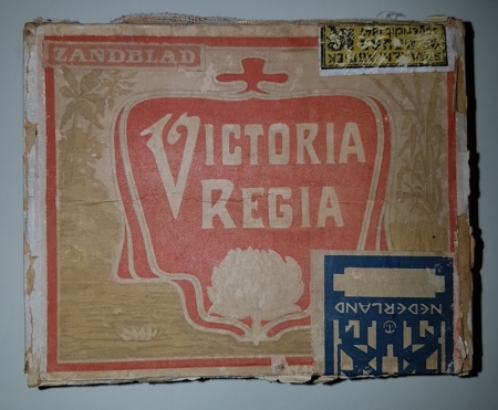 Boele VICTORIA REGIA  hout 25/f 2.00  M