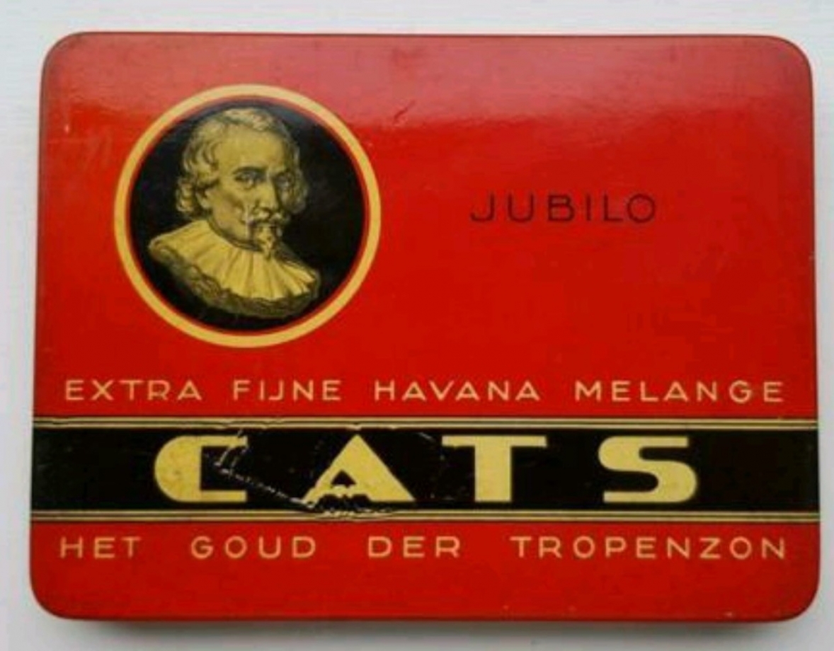 Majoor  CATS - JUBILO  blik  M