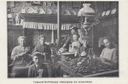 Tabakstripsters F Tabakstripsters F